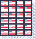 More Stars & Stripes Moda Box Kit | Camille Roskelley | 50% Deposit Preorder | March 2027