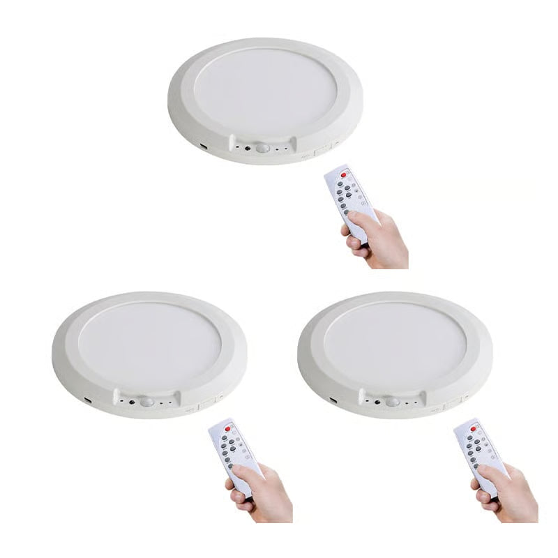 Motion Sensor Ceiling Light