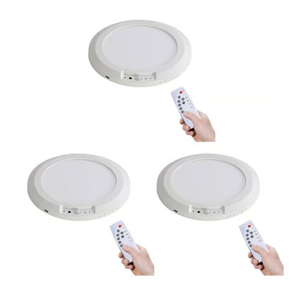 Motion Sensor Ceiling Light